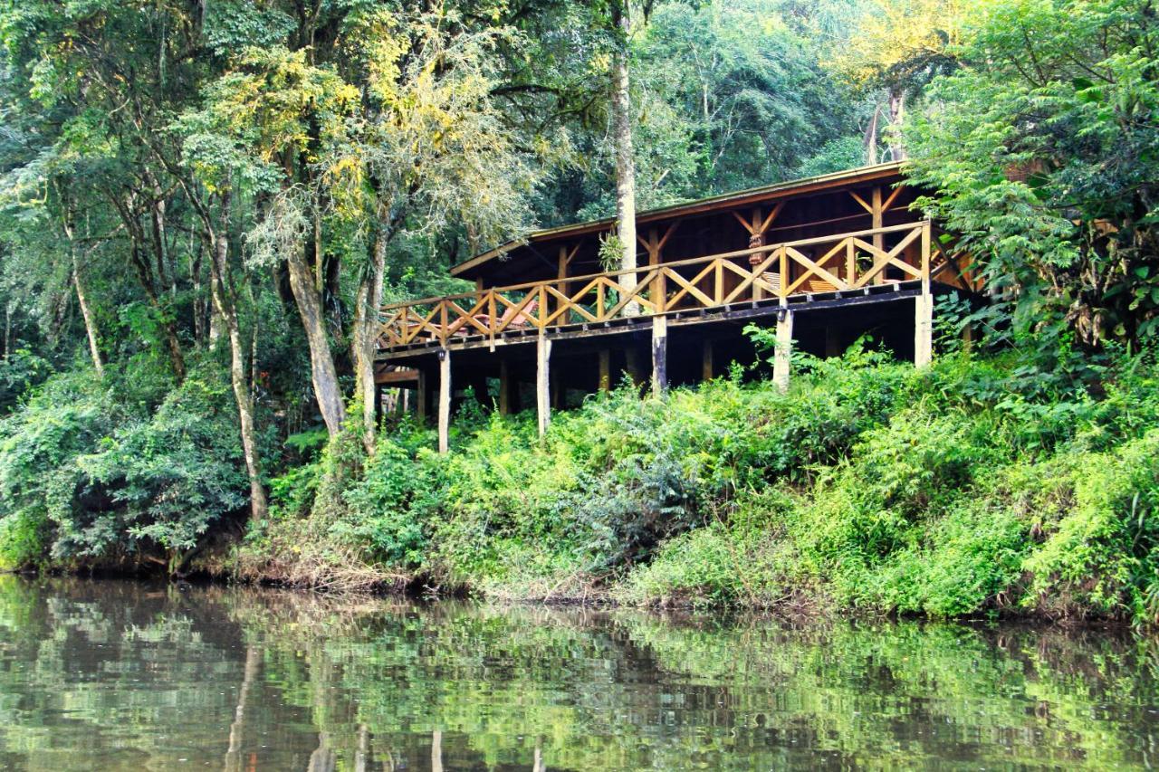 Margay - Reserva Natural Y Lodge De Selva El Soberbio Exterior photo